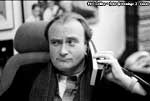 phil collins